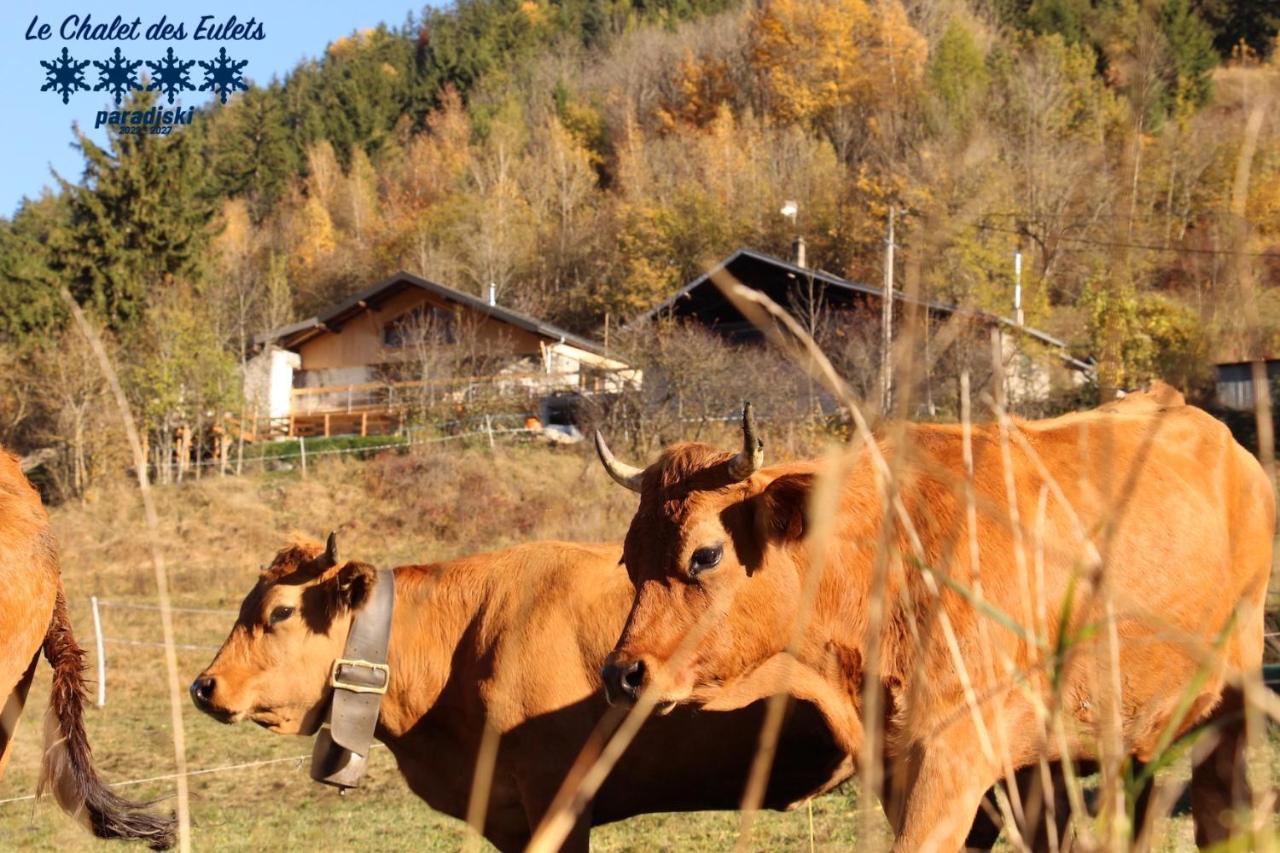 Le Chalet Des Eulets Bourg-Saint-Maurice Buitenkant foto