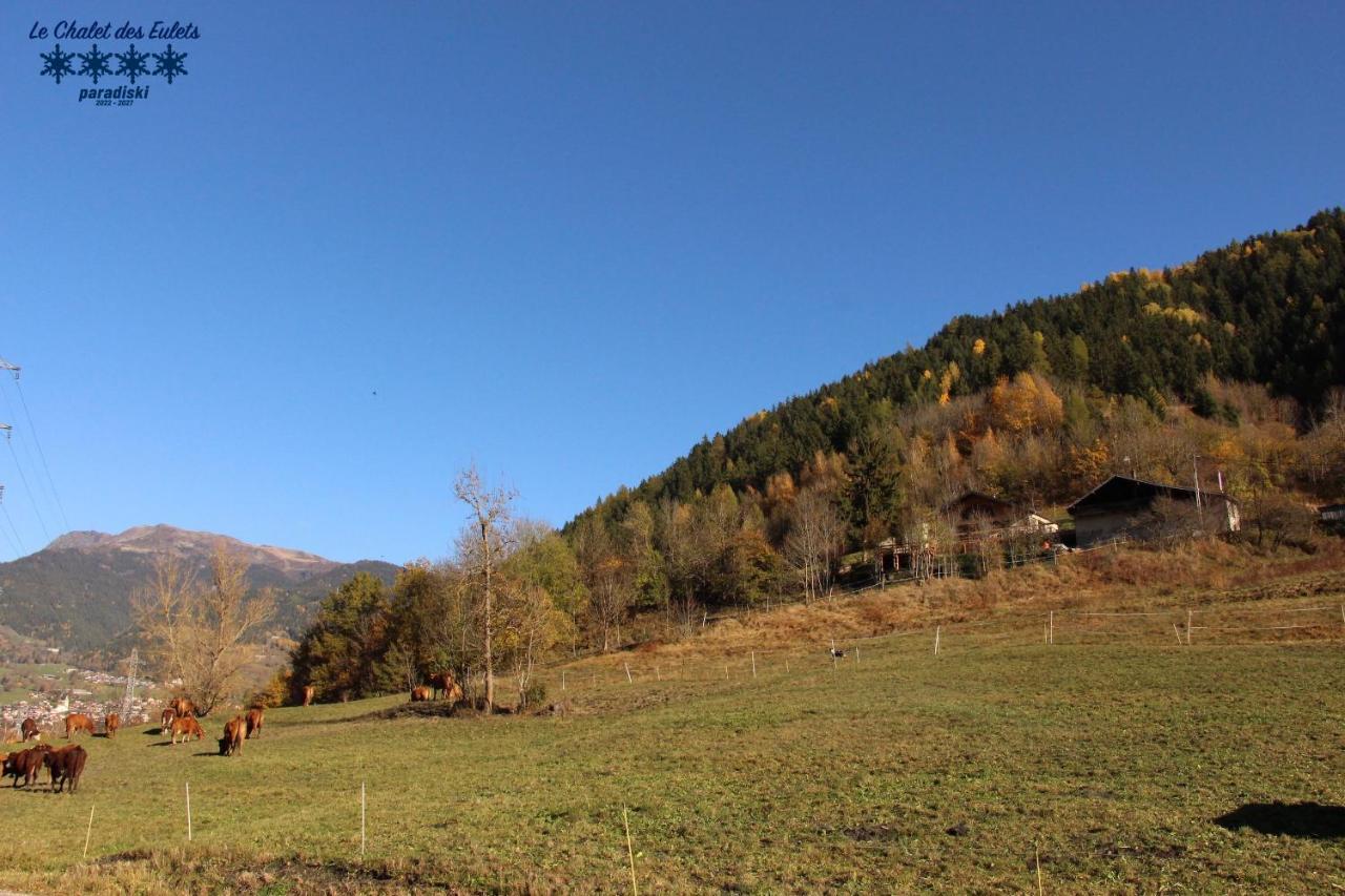 Le Chalet Des Eulets Bourg-Saint-Maurice Buitenkant foto