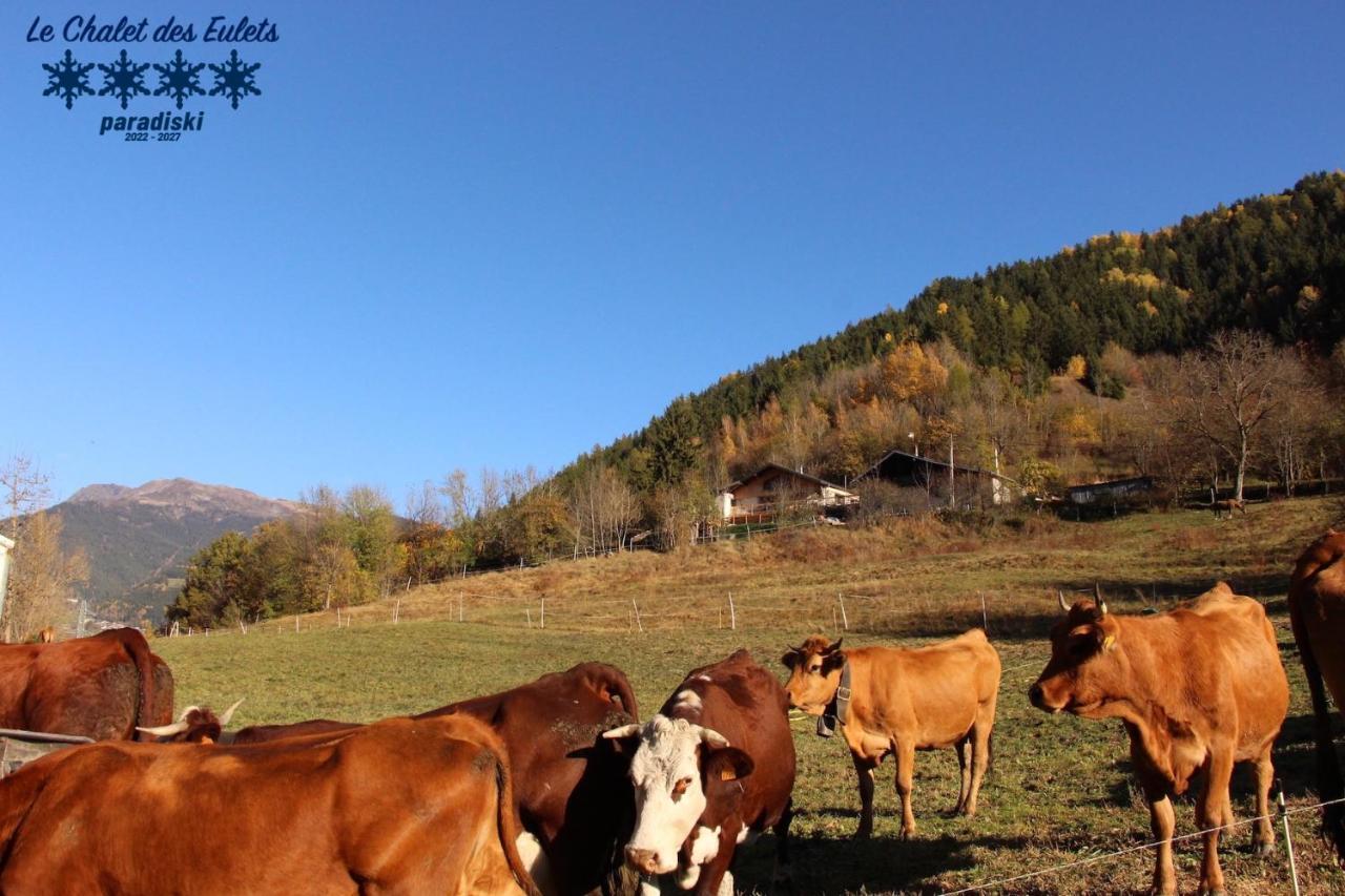 Le Chalet Des Eulets Bourg-Saint-Maurice Buitenkant foto