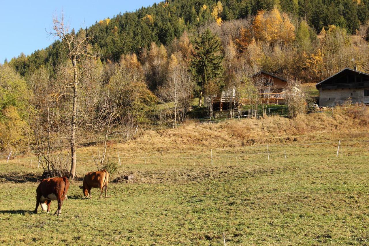 Le Chalet Des Eulets Bourg-Saint-Maurice Buitenkant foto